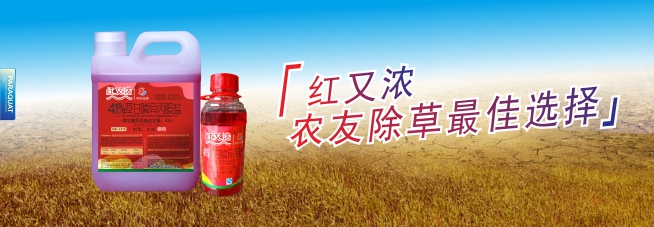 红又浓
