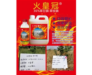 火皇冠