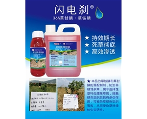 闪电刹